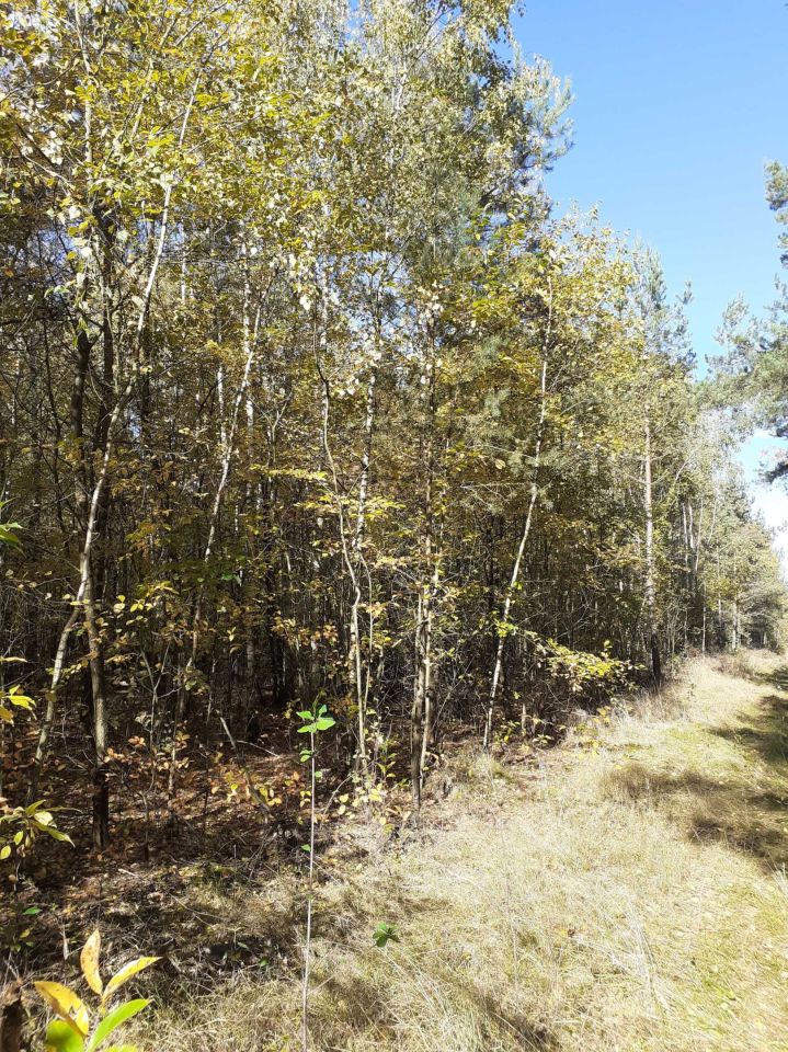 Działka rolna Krępica