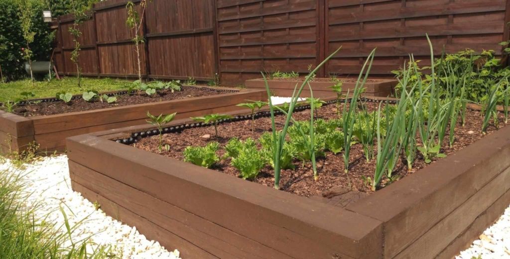 Działka rod Sokołowo. Zdjęcie 5