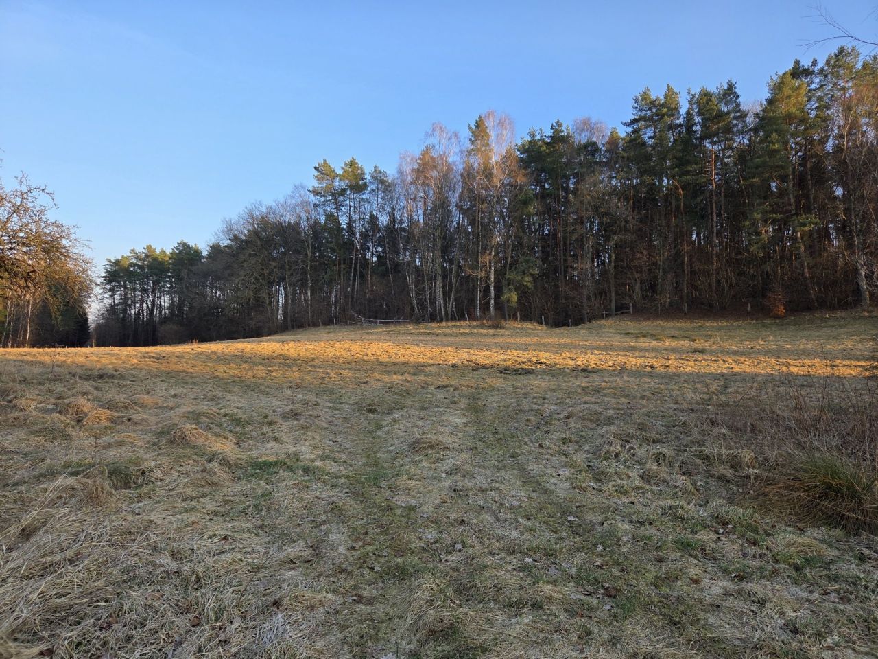 Działka rolno-budowlana Gwiazdowo Gwiazdówko. Zdjęcie 5