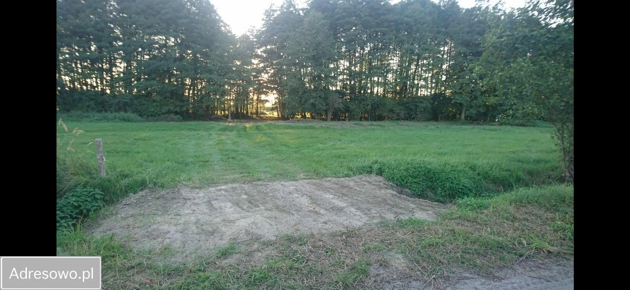 Działka rolno-budowlana Sadowie. Zdjęcie 2