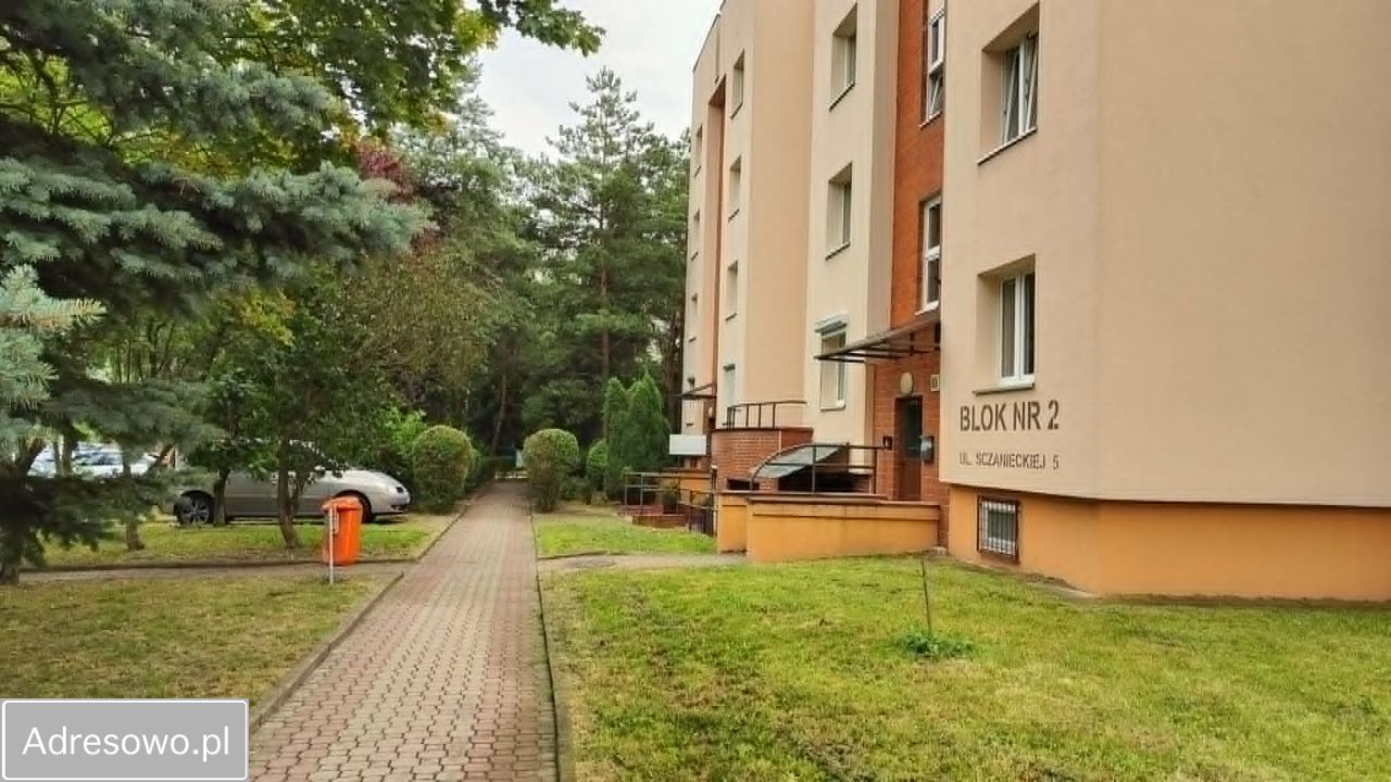 Lokal Łódź Polesie. Zdjęcie 17