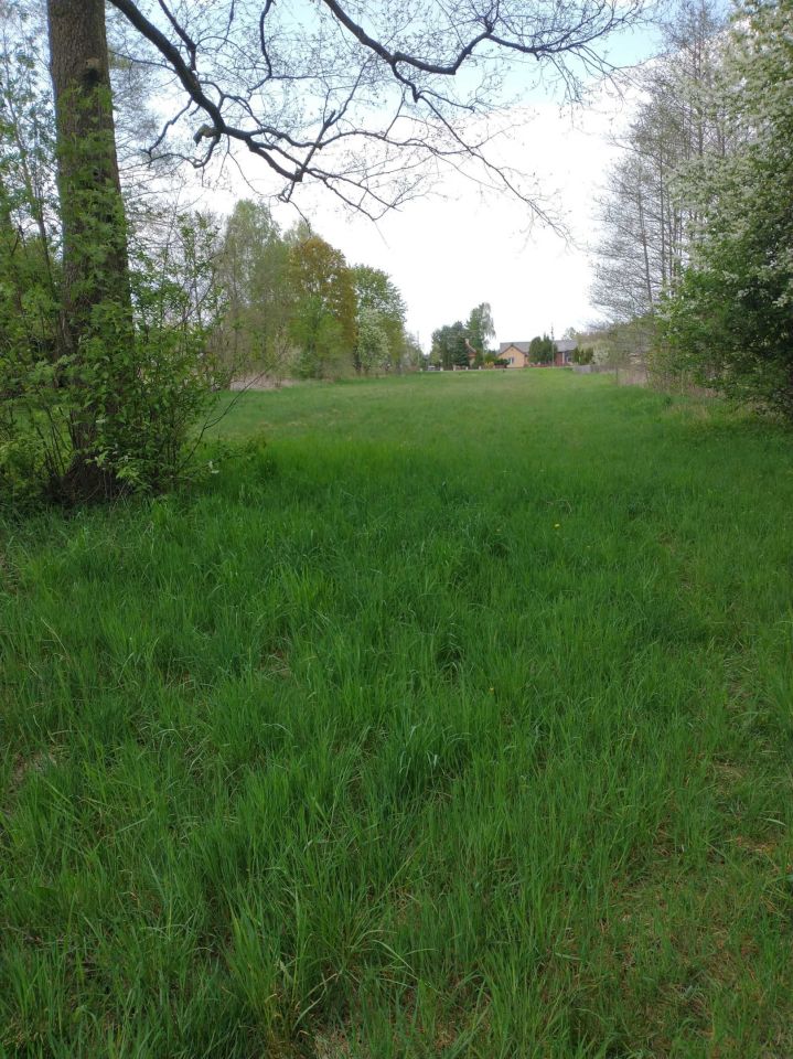 Działka inwestycyjna Nowa Jedlanka. Zdjęcie 6