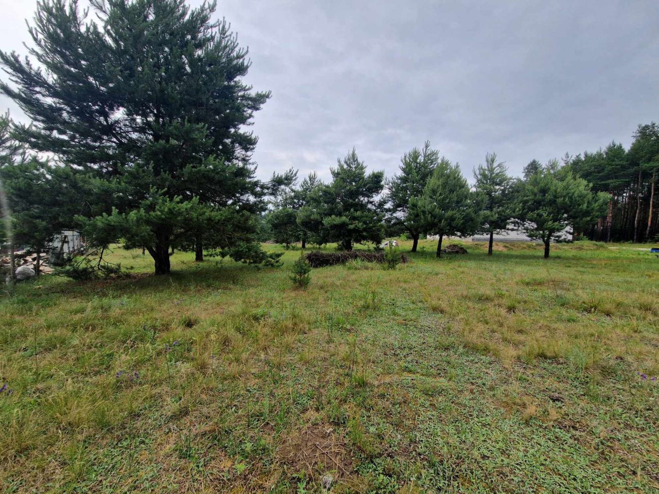 Działka budowlana Sokołów Dolny. Zdjęcie 12