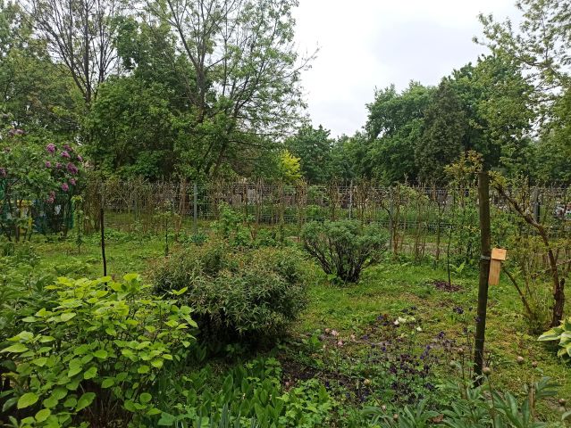 Działka rod Kraków Grzegórzki, ul. Rakowicka. Zdjęcie 1