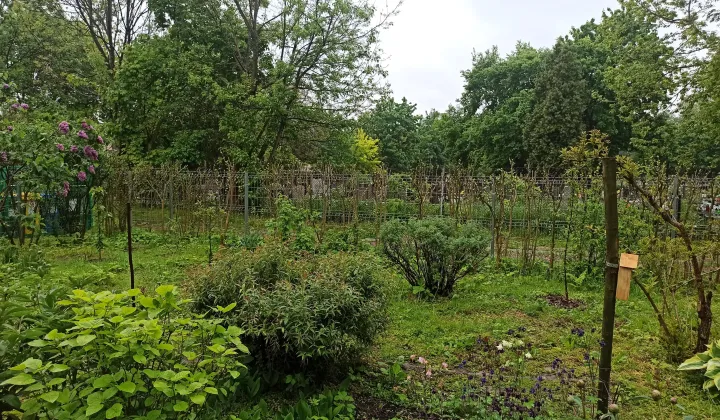 Działka rod Kraków Grzegórzki, ul. Rakowicka