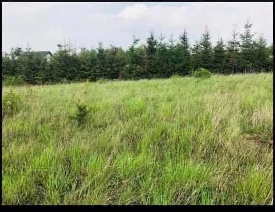 Działka budowlana Połupin. Zdjęcie 4