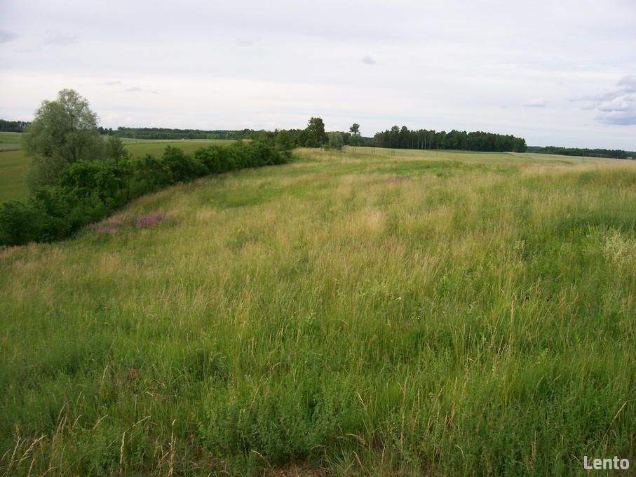 Działka rolna Chłopowo. Zdjęcie 6