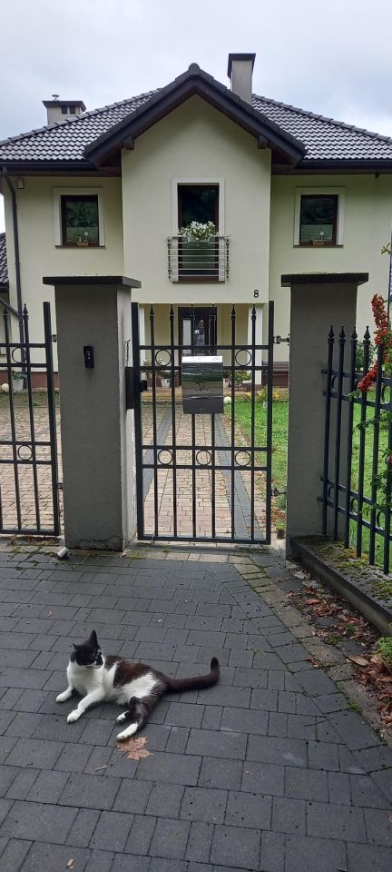 dom wolnostojący, 5 pokoi Gorlice Zawodzie. Zdjęcie 31