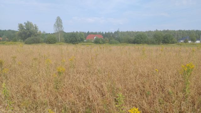 Działka rolna Garwolin Zawady, ul. Sobieskiego. Zdjęcie 5