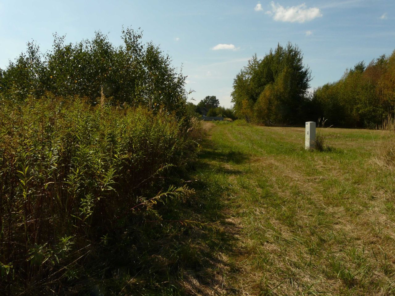 Działka budowlana Skierniewice Starbacicha. Zdjęcie 2