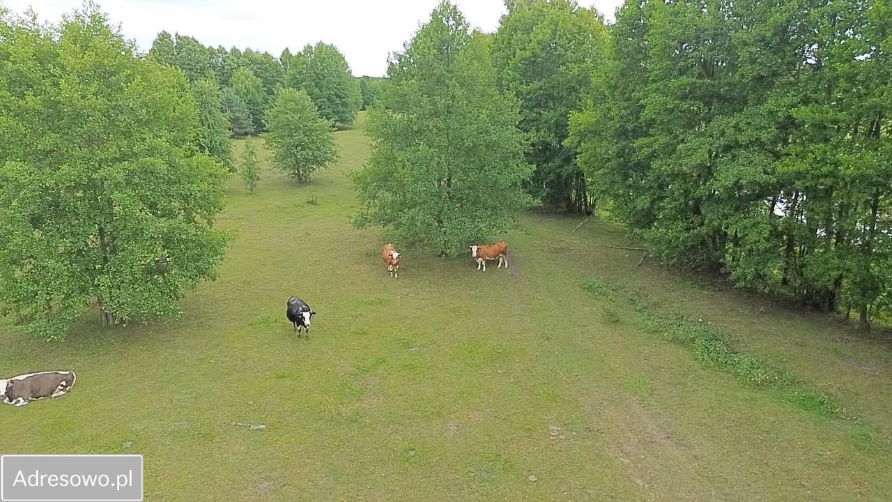 Działka Michałowo. Zdjęcie 8