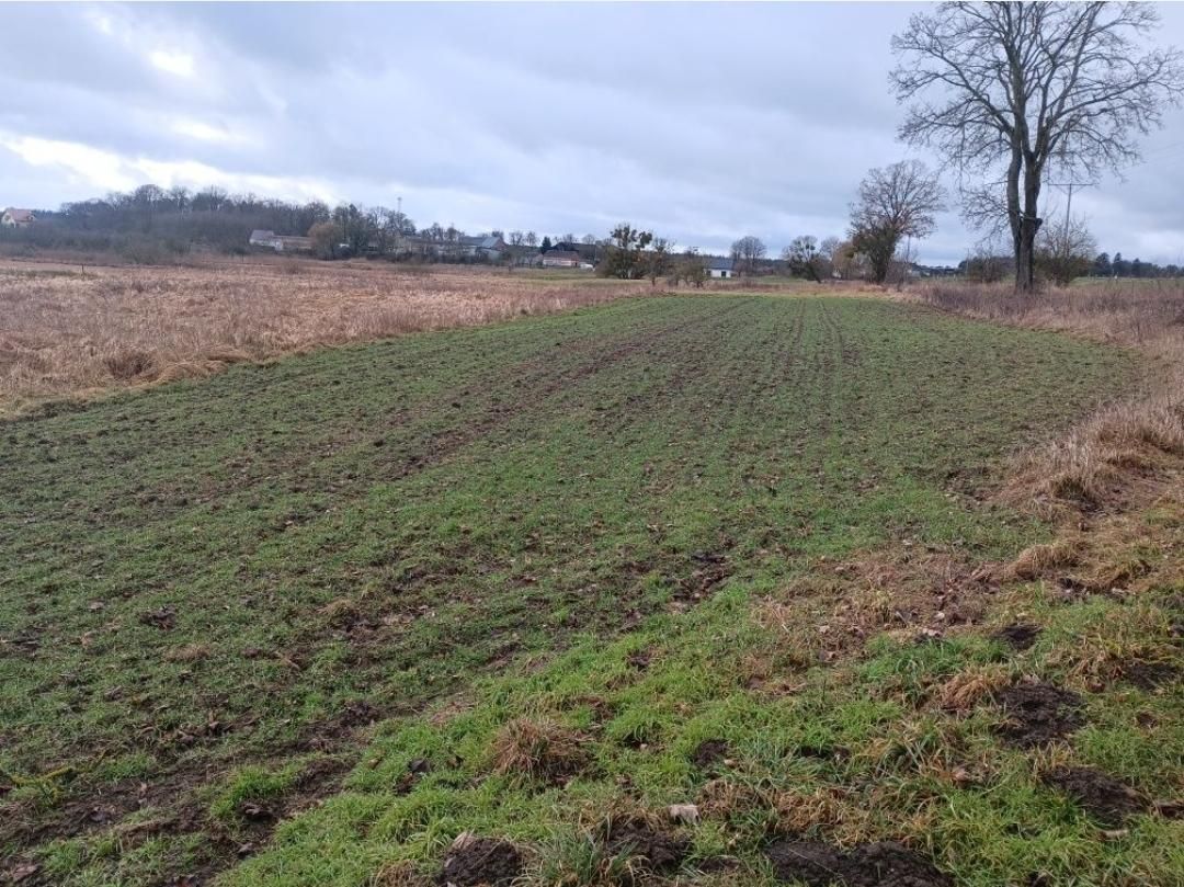 Działka rolna Grzymiradz. Zdjęcie 6