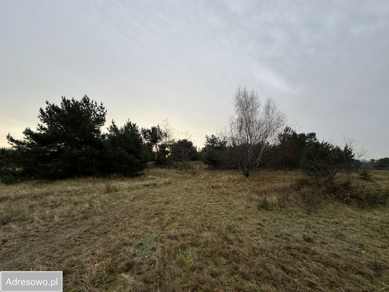 Działka rolno-budowlana Mechelinki. Zdjęcie 7