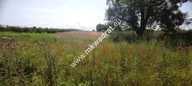 Działka siedliskowa Wola Pękoszewska. Zdjęcie 1