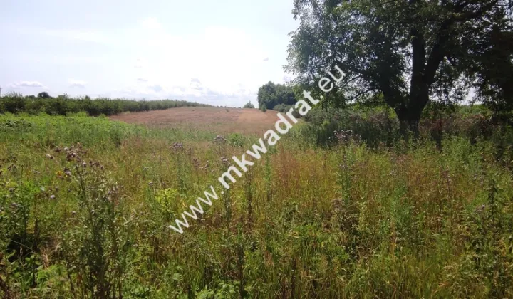 Działka siedliskowa Wola Pękoszewska