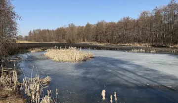Działka na sprzedaż bez pośredników 
 
 Taszewo - Widok 5
