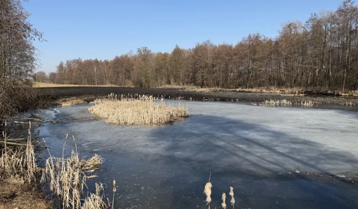 Działka rolna Zawada