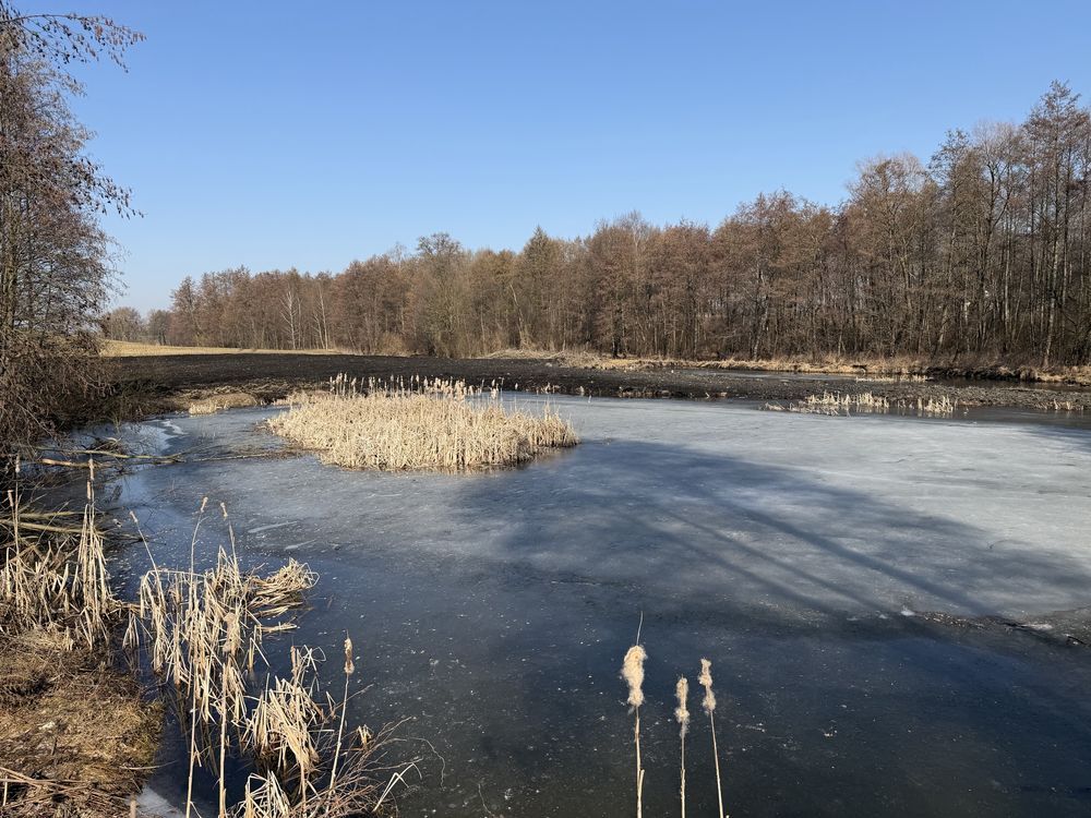 Działka rolna Zawada. Zdjęcie 1