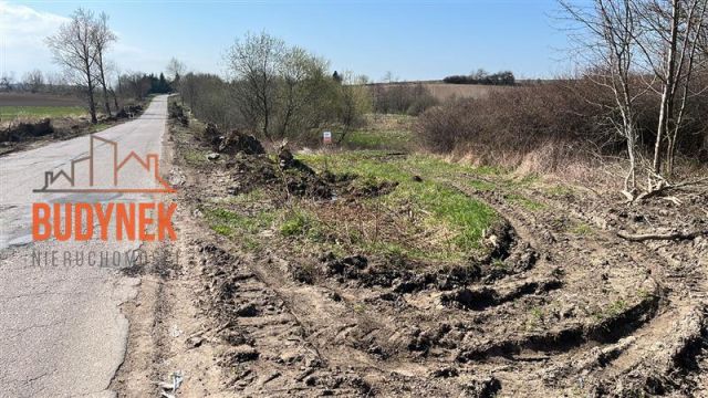 Działka rolna Kopnica. Zdjęcie 2