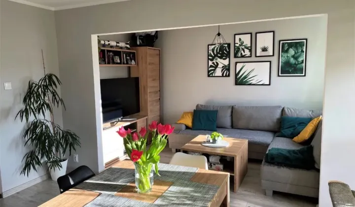 Mieszkanie 2-pokojowe Knurów, ul. Dywizjonu 303