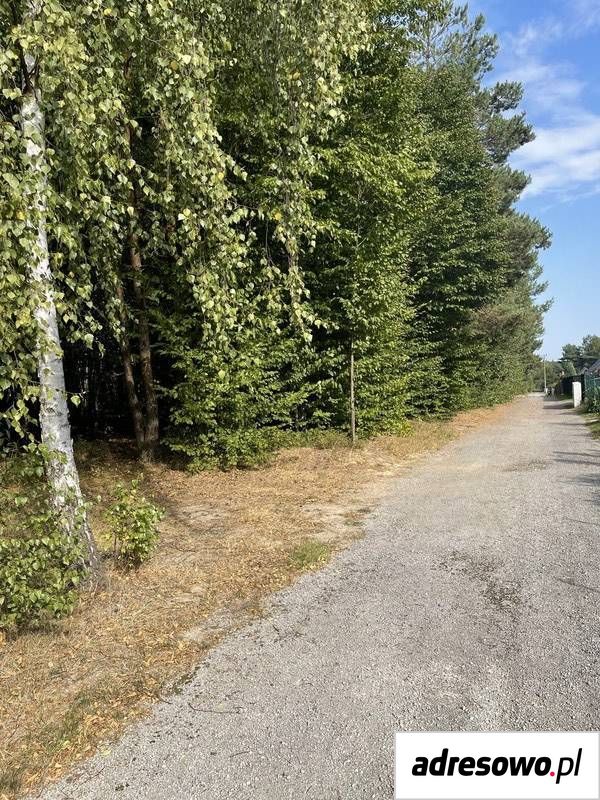 Działka rekreacyjna Kostkowice. Zdjęcie 6