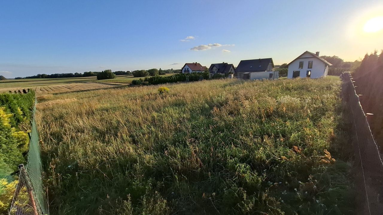 Działka budowlana Świedziebnia. Zdjęcie 2