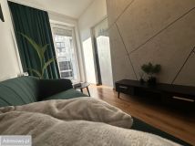 Mieszkanie 2-pokojowe Poznań Nowe Miasto, ul. Czesława Niemena. Zdjęcie 1