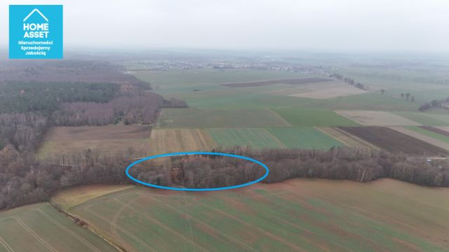 Działka budowlana Werblinia, ul. Leśna. Zdjęcie 8