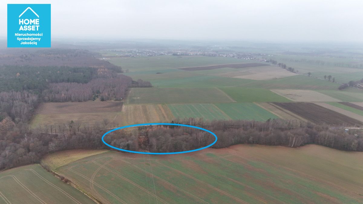 Działka budowlana Werblinia, ul. Leśna. Zdjęcie 8
