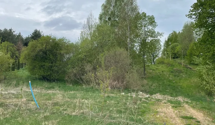 Działka budowlana Borowe