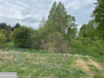 Działka budowlana Borowe. Zdjęcie 1