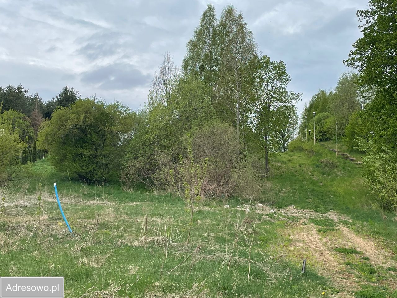 Działka budowlana Borowe. Zdjęcie 1
