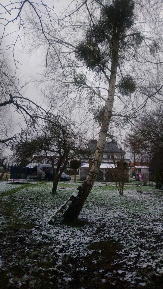 Działka budowlana Księżyno, ul. Południowa. Zdjęcie 5