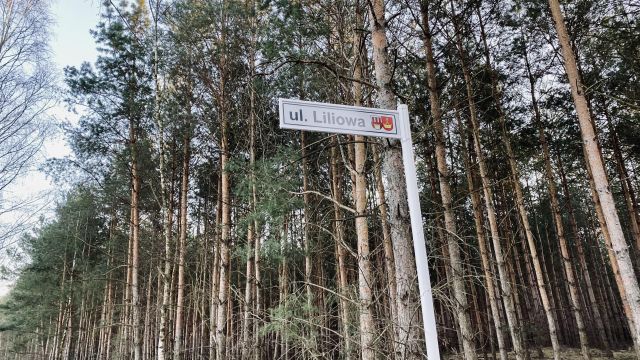 Działka budowlana Czmoniec. Zdjęcie 2