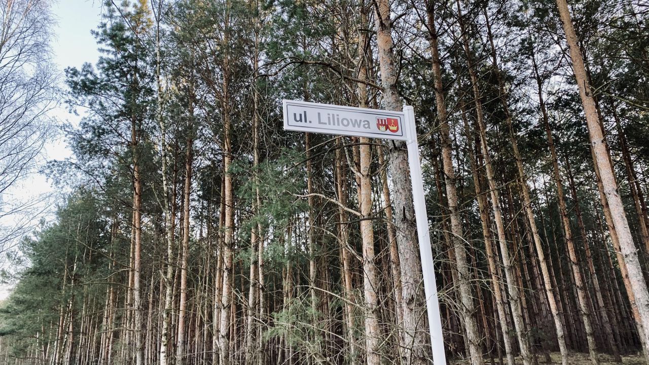Działka budowlana Czmoniec. Zdjęcie 2