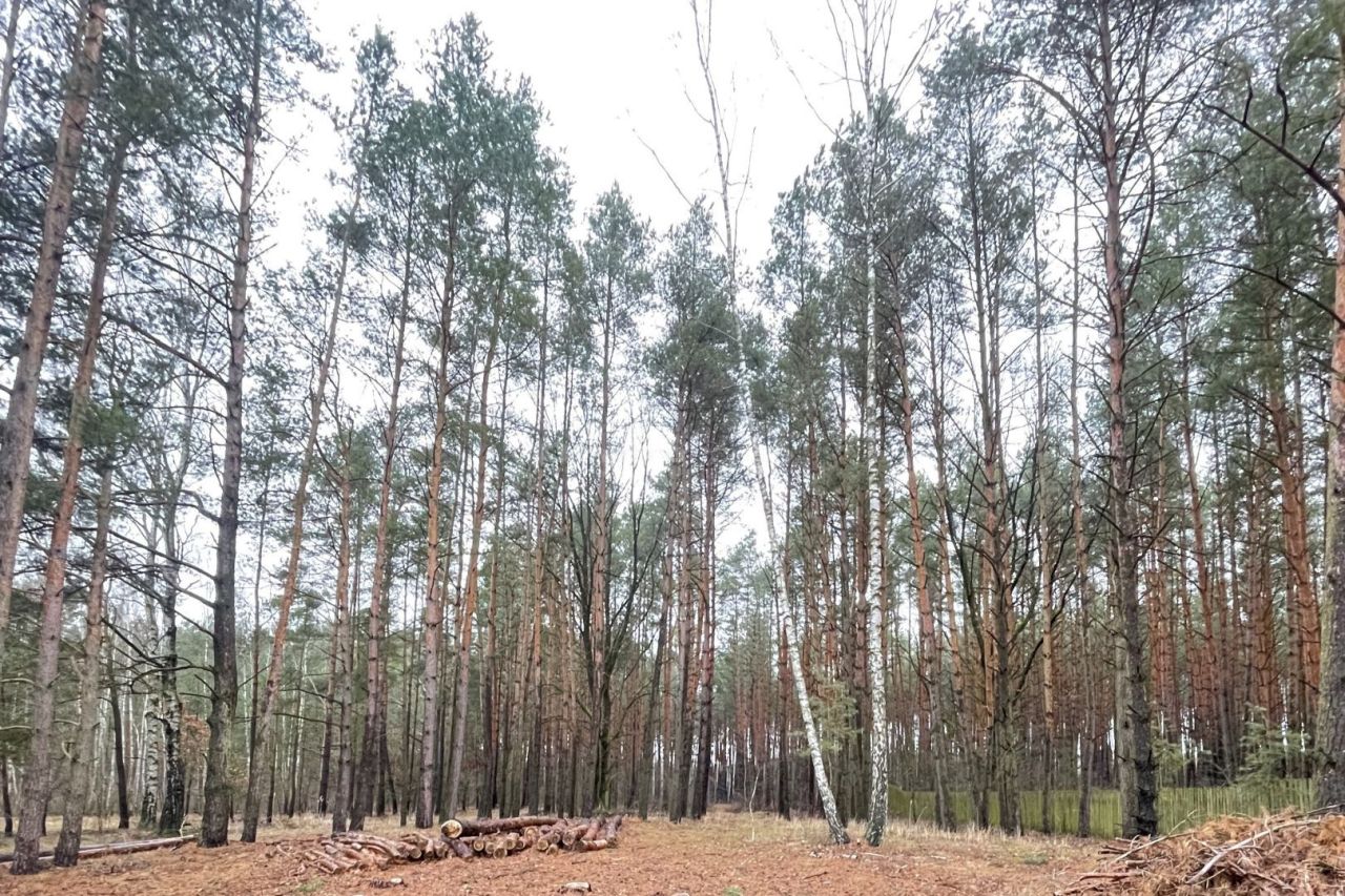 Działka budowlana Kamieńczyk. Zdjęcie 6