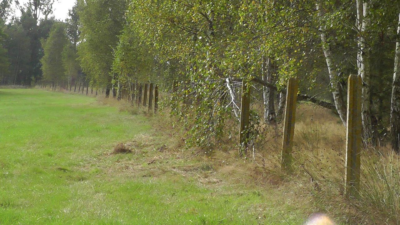 Działka inwestycyjna Zabłocie-Kolonia. Zdjęcie 4