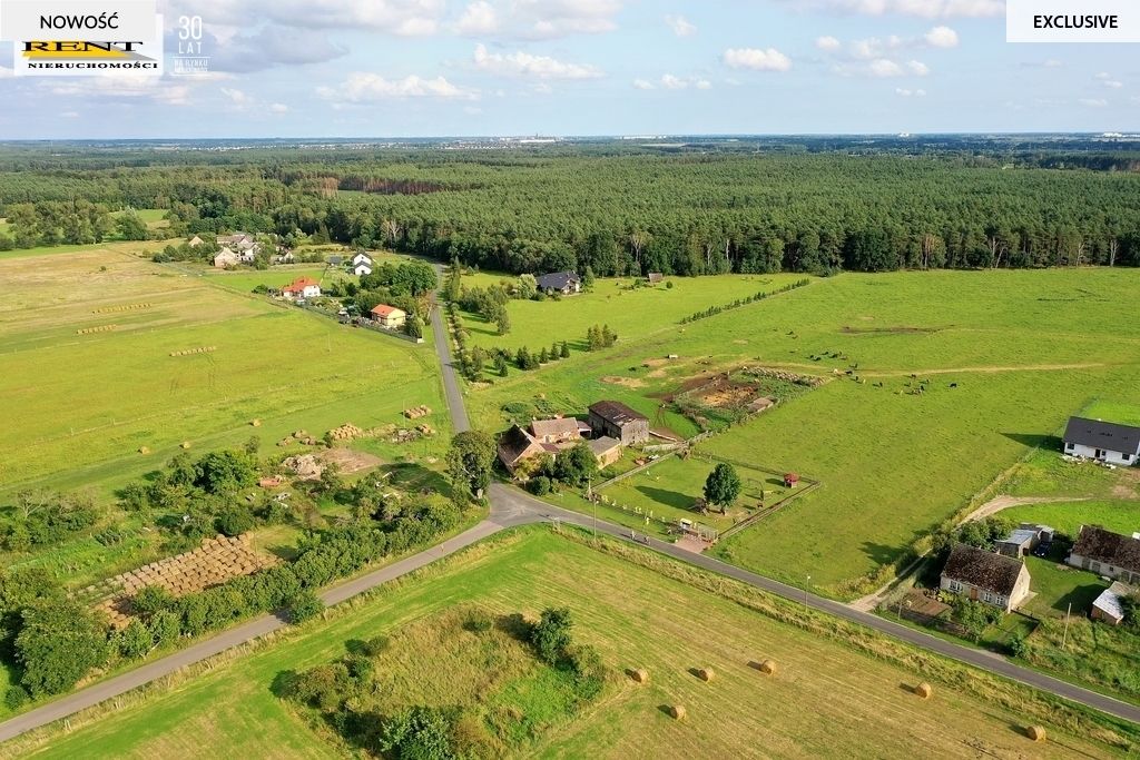 Działka rolna Cisewo. Zdjęcie 7