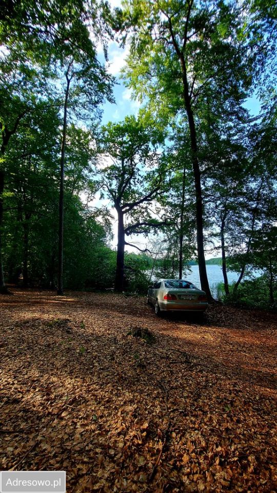 Działka rolna Smorawina. Zdjęcie 6