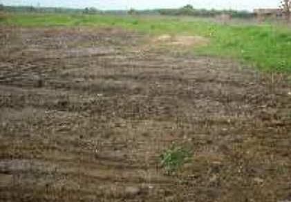 Działka budowlana Warszawa Wawer. Zdjęcie 1