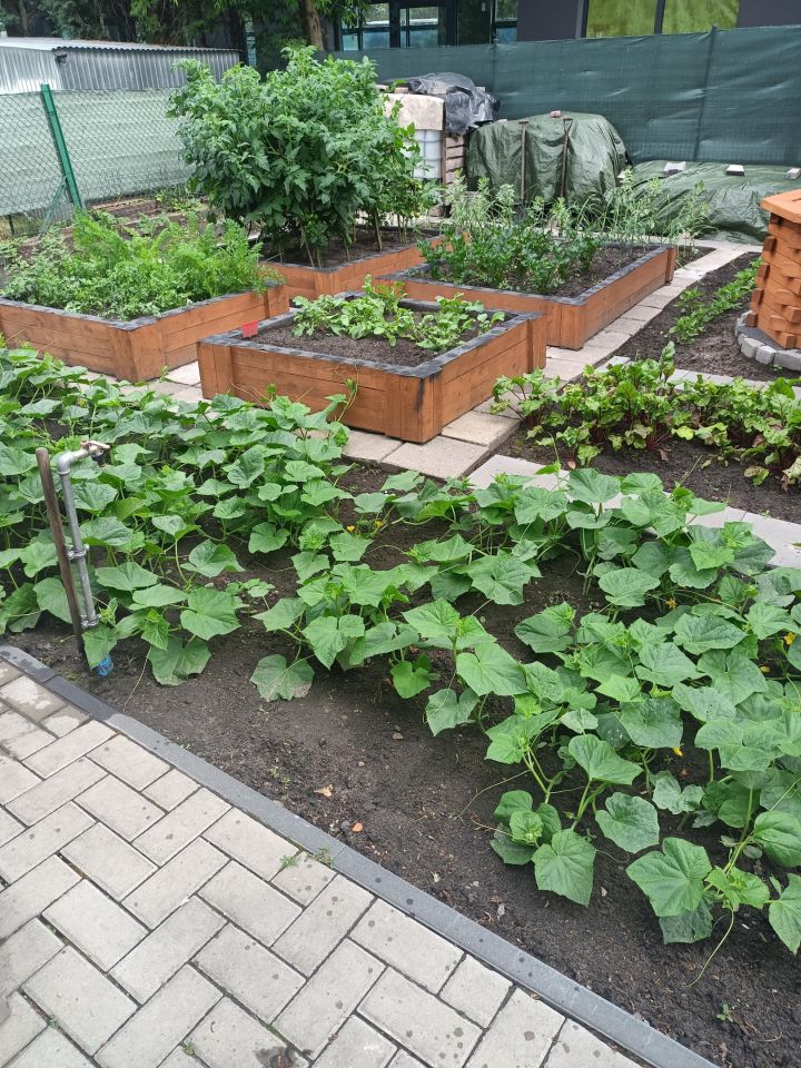 Działka rod Toruń Mokre, ul. Grudziądzka. Zdjęcie 20