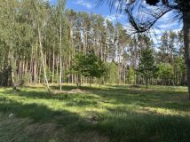 Działka budowlana Polków-Daćbogi. Zdjęcie 4
