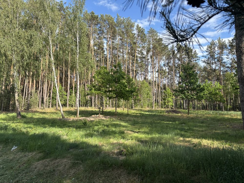 Działka budowlana Polków-Daćbogi. Zdjęcie 5