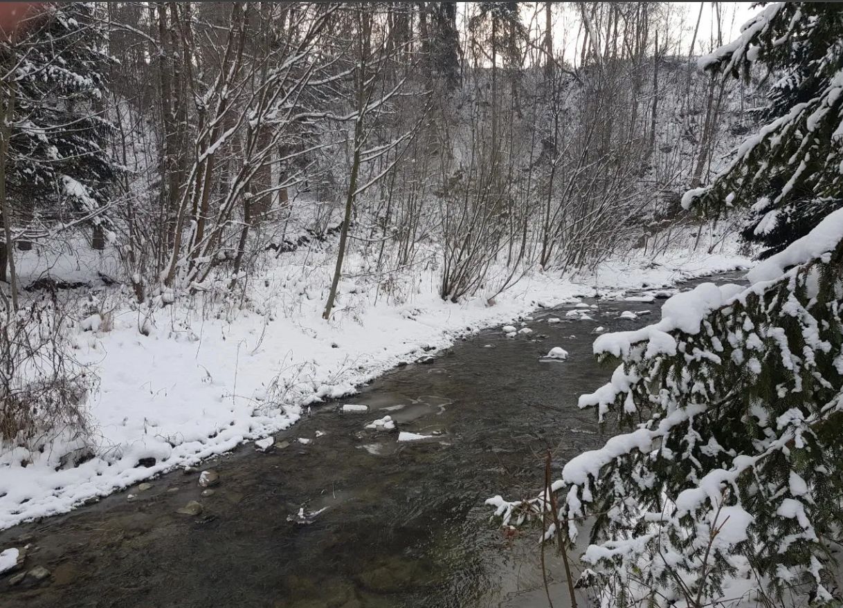 Działka budowlana Nowy Targ, ul. Kowaniec. Zdjęcie 10