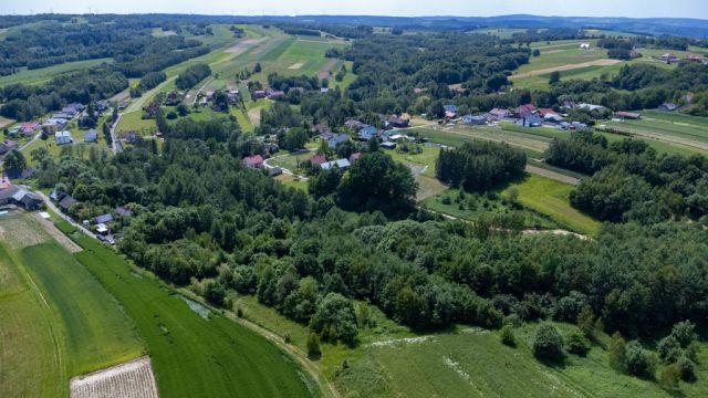 Działka rolno-budowlana Harta. Zdjęcie 4