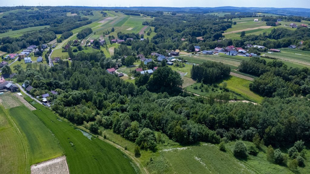 Działka rolno-budowlana Harta. Zdjęcie 4