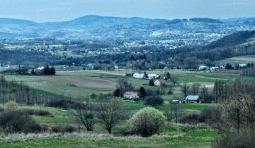 gospodarstwo Dominikowice