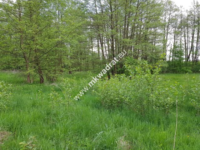 Działka budowlana Wola Pękoszewska. Zdjęcie 2