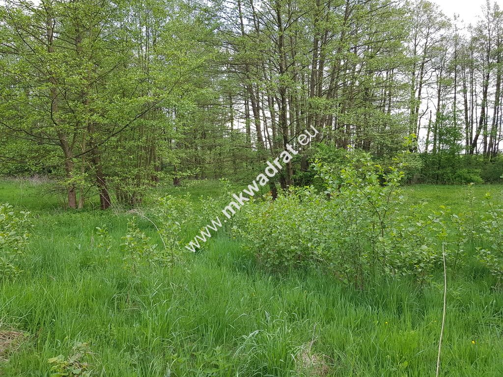Działka budowlana Wola Pękoszewska. Zdjęcie 2