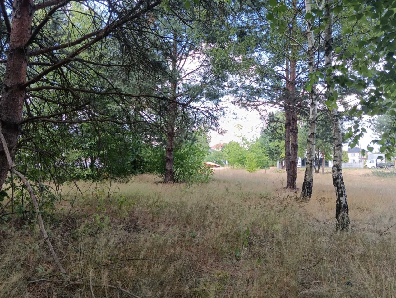 Działka rolna Rudnik nad Sanem. Zdjęcie 5